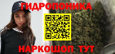 гидропоника Балахна