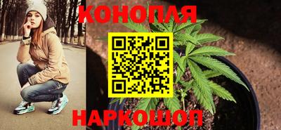 гидропоника Балахна