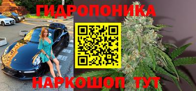 гидропоника Балахна
