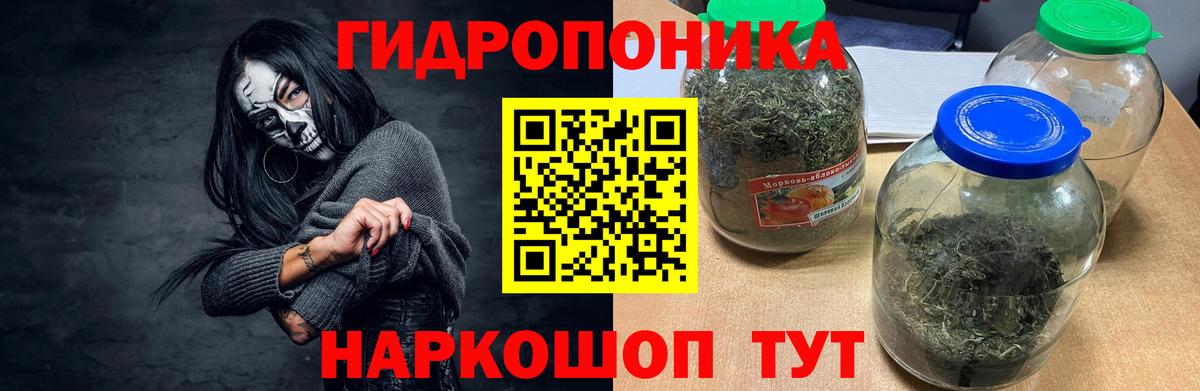 Каннабис конопля Видное